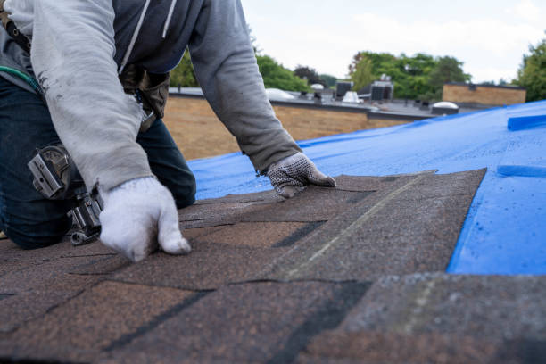 Best Roof Maintenance Services  in Monticello, GA